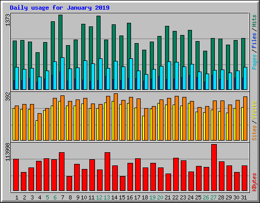 Daily usage for January 2019