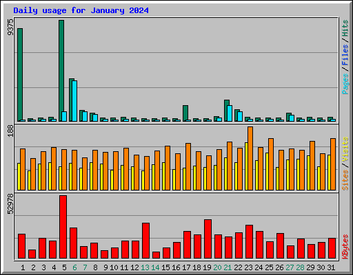 Daily usage for January 2024