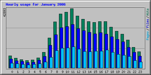 Hourly usage for January 2006