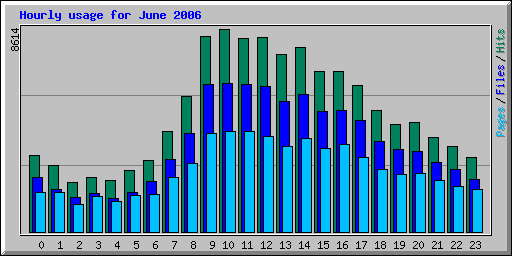 Hourly usage for June 2006