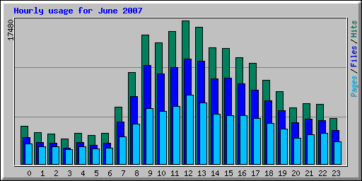 Hourly usage for June 2007