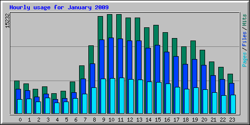 Hourly usage for January 2009