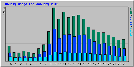Hourly usage for January 2012