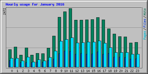 Hourly usage for January 2016