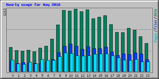 Hourly usage for May 2016