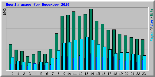 Hourly usage for December 2016