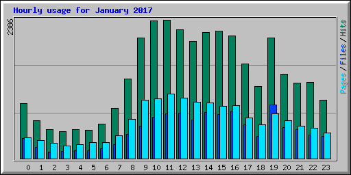 Hourly usage for January 2017