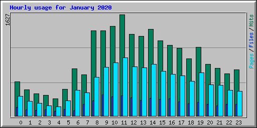 Hourly usage for January 2020