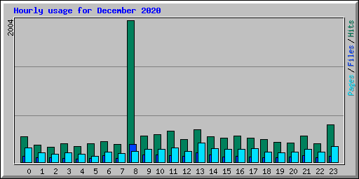 Hourly usage for December 2020