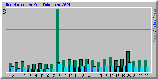 Hourly usage for February 2021