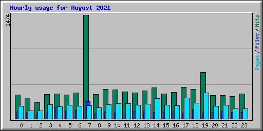 Hourly usage for August 2021