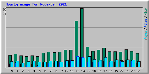 Hourly usage for November 2021