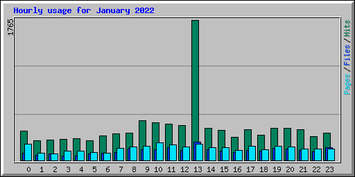 Hourly usage for January 2022