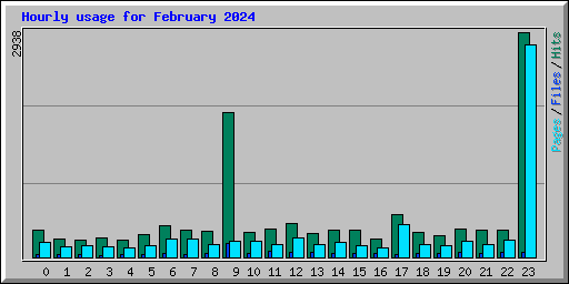 Hourly usage for February 2024