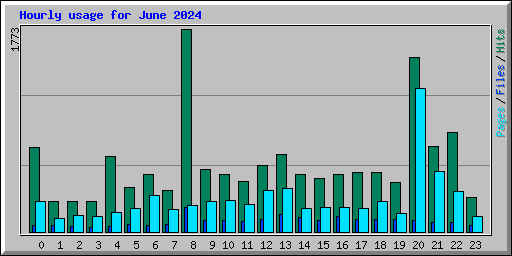 Hourly usage for June 2024