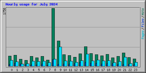 Hourly usage for July 2024