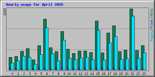 Hourly usage for April 2025