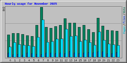 Hourly usage for November 2025