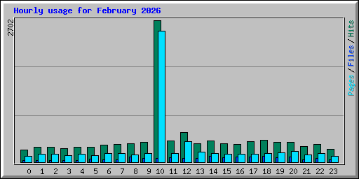 Hourly usage for February 2026